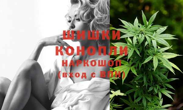 СК Алзамай